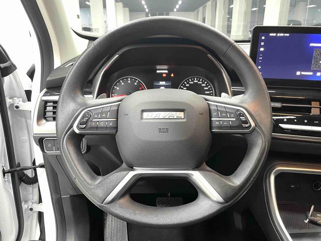 Haval H6 2021, фото 8