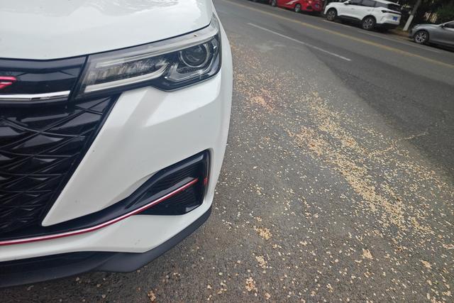 Changan CS55 PLUS 2021, фото 2