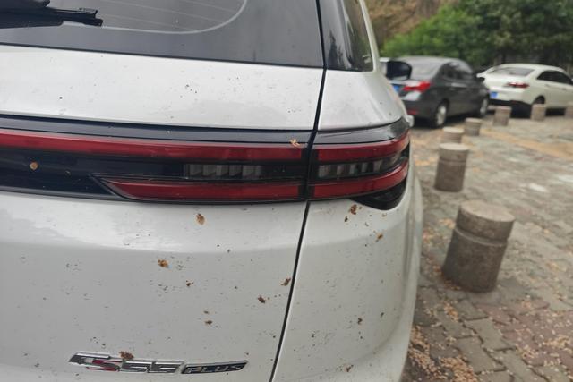 Changan CS55 PLUS 2021, фото 8