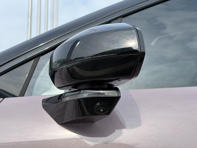 ZEEKR X 2025, фото 16