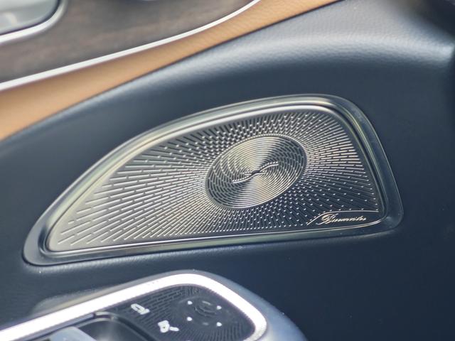 Mercedes-Benz E-Class 2024, фото 15