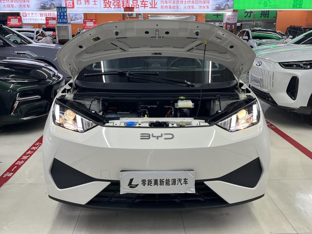 BYD Seagull 2025, фото 15