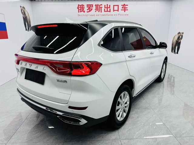 Haval M6 2021, фото 10