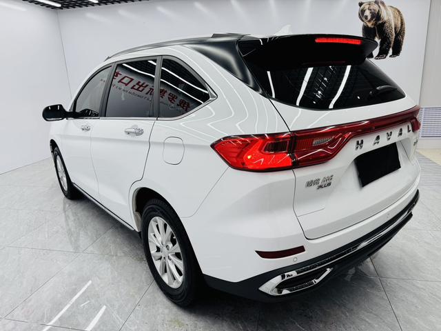 Haval M6 2021, фото 12