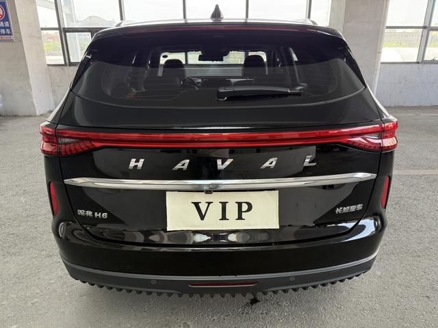 Haval H6 2024, фото 8