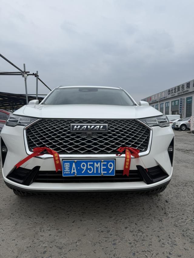 Haval H6 2022, фото 2