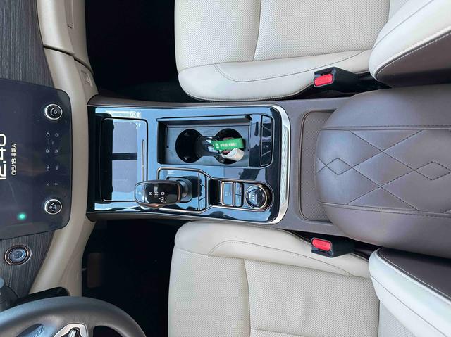 Dongfeng Palanin 2024, фото 8