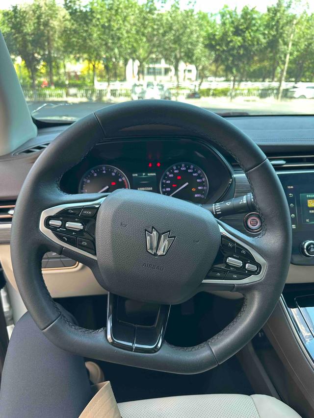 Dongfeng Palanin 2024, фото 10
