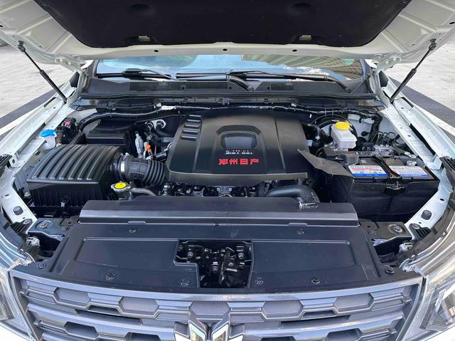 Dongfeng Palanin 2024, фото 11