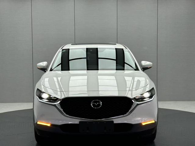 Mazda CX-30 2022, фото 2