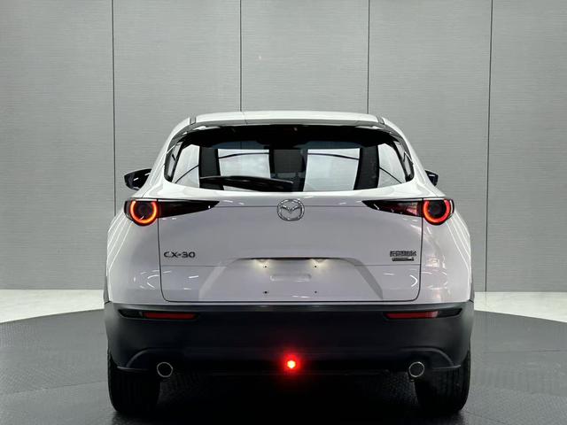 Mazda CX-30 2022, фото 4