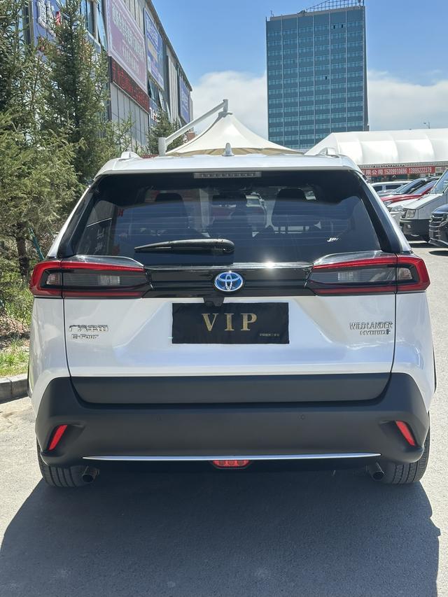 Toyota Weilan 2021, фото 8