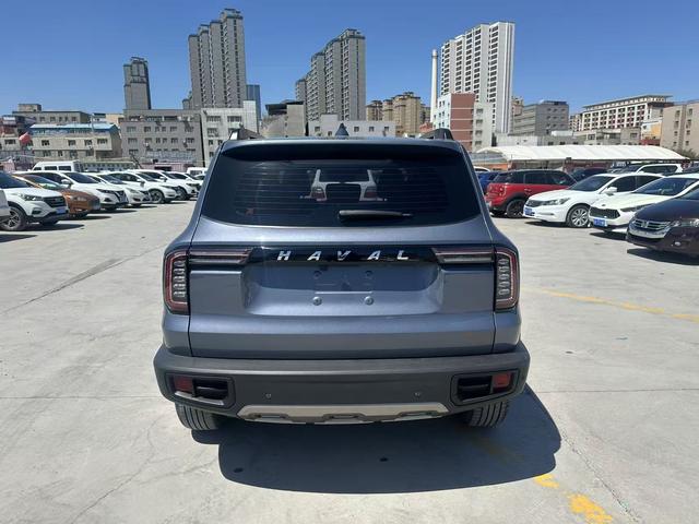 Haval Dargo 2021, фото 7