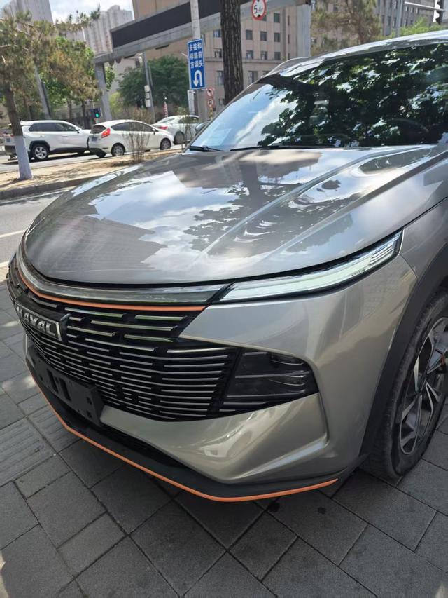 Haval F7 2021, фото 9