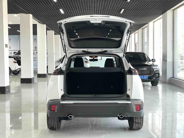 Peugeot 2008 2022, фото 15