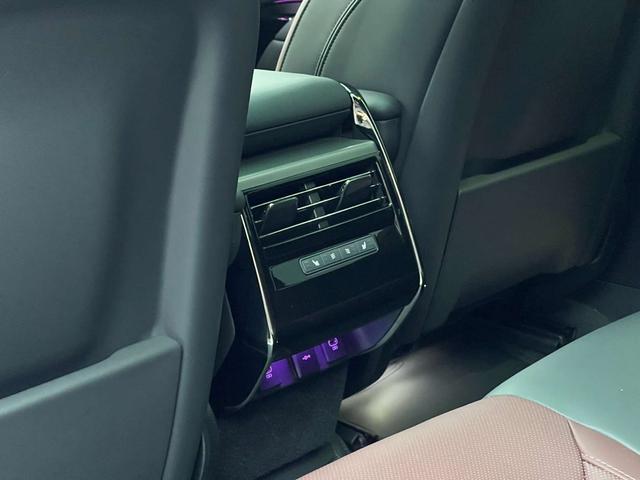 Land Rover Range Rover Sport 2024, фото 15