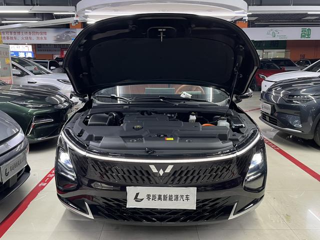 Wuling Xingguang 2025, фото 15