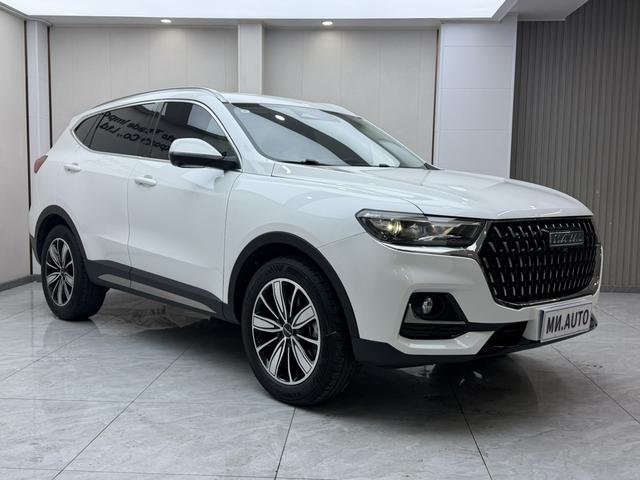 Haval H6 2023, фото 3