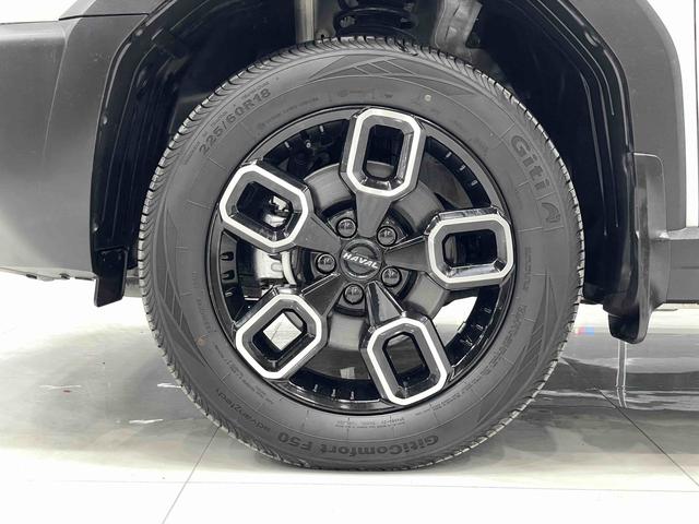 Haval Cool Dog 2022, фото 14