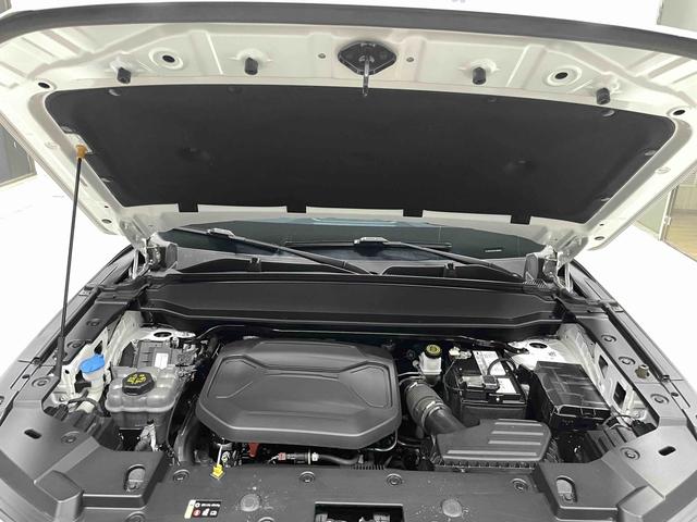 Haval Cool Dog 2022, фото 17