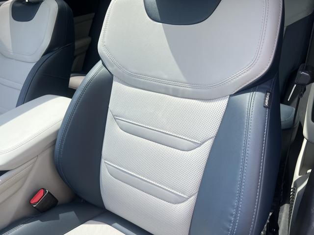 Ford Territory 2023, фото 17