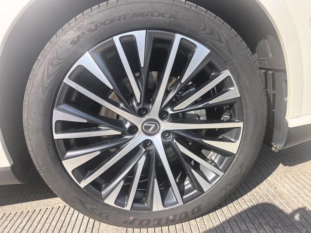 Lexus RX 2023, фото 16