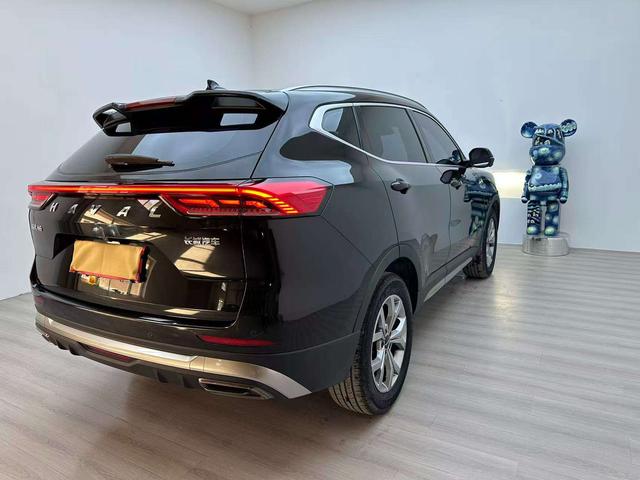 Haval H6 2021, фото 6