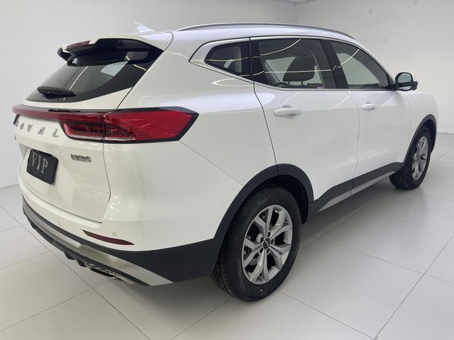 Haval H6 2021, фото 4