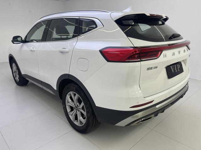 Haval H6 2021, фото 6