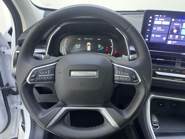 Haval H6 2021, фото 10