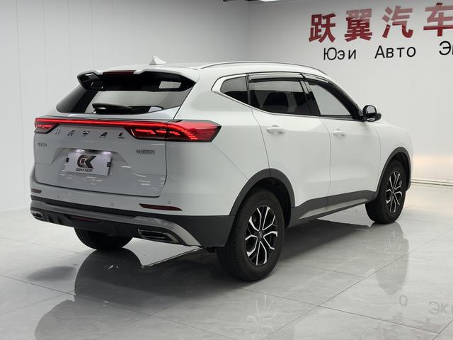 Haval H6 2021, фото 4