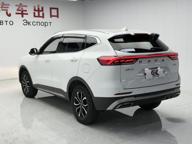 Haval H6 2021, фото 6
