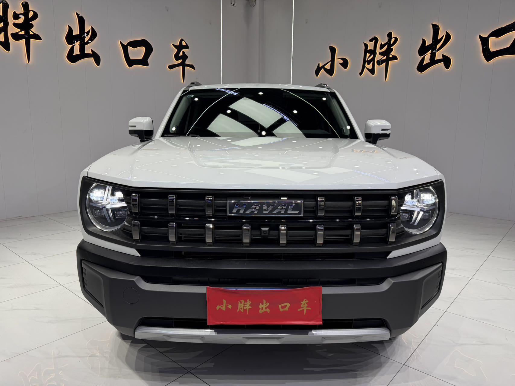 Haval Cool Dog 2022, фото 2
