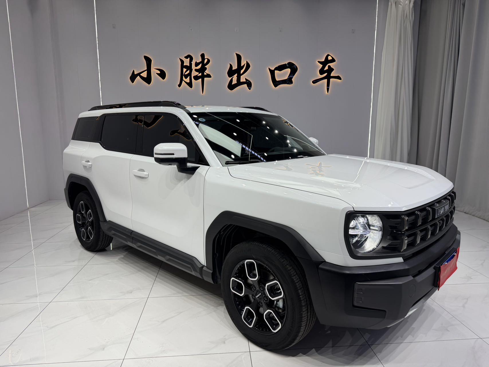 Haval Cool Dog 2022, фото 3
