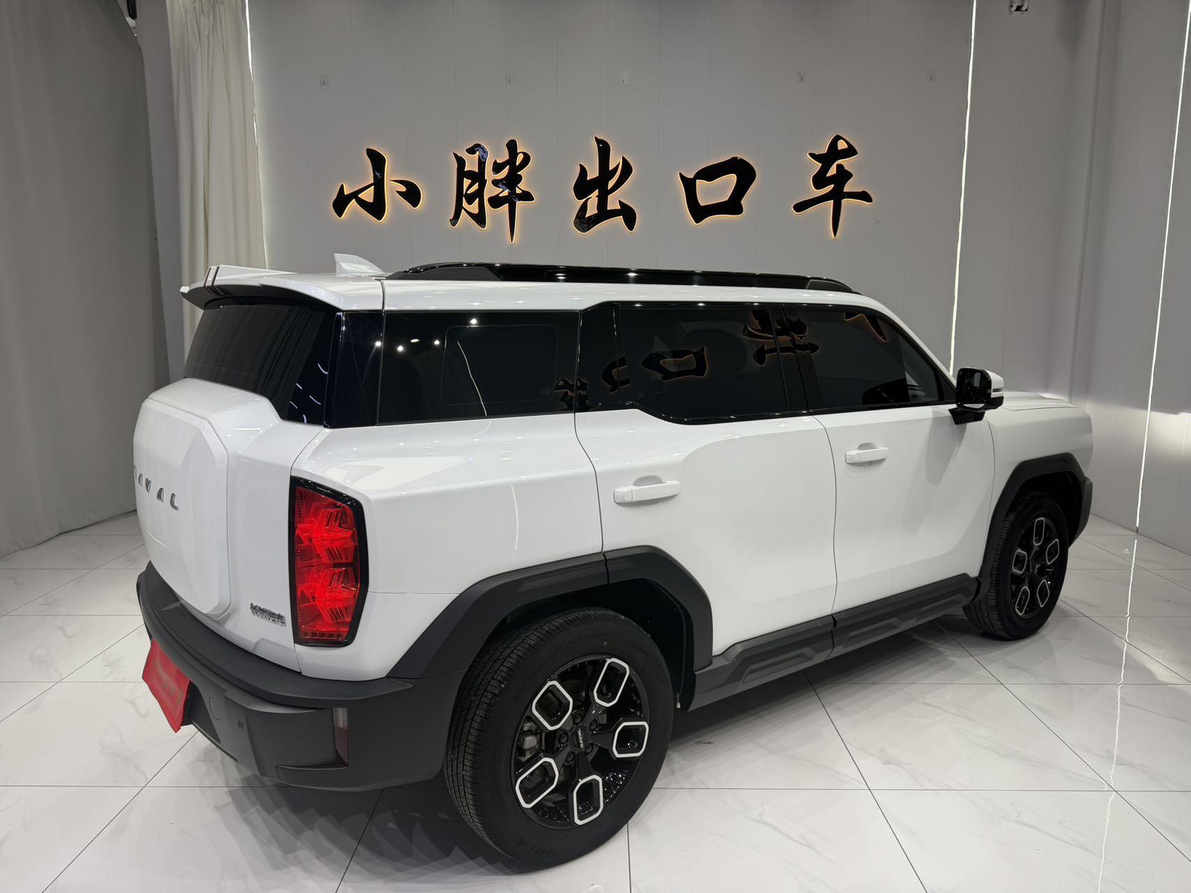 Haval Cool Dog 2022, фото 4