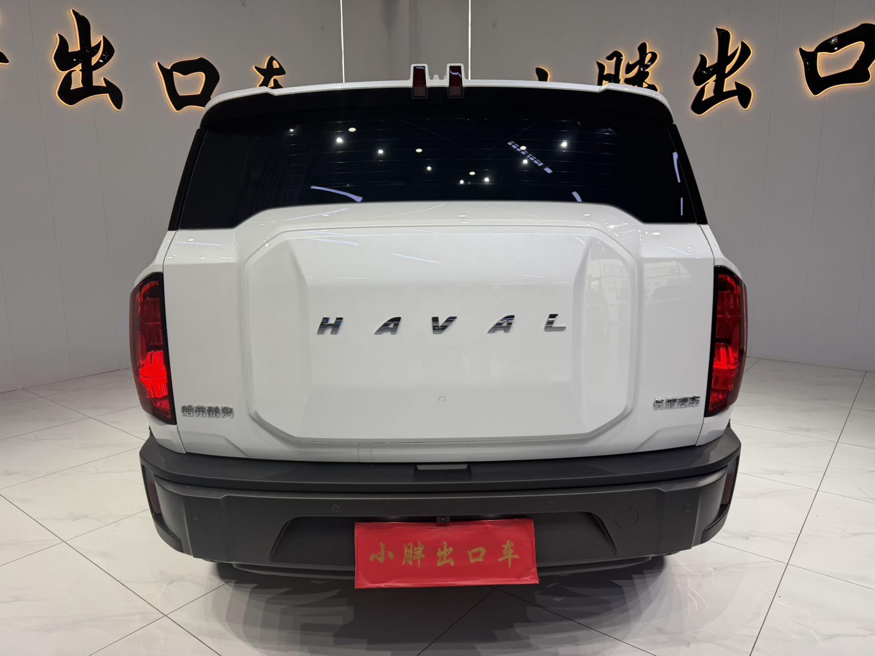 Haval Cool Dog 2022, фото 5