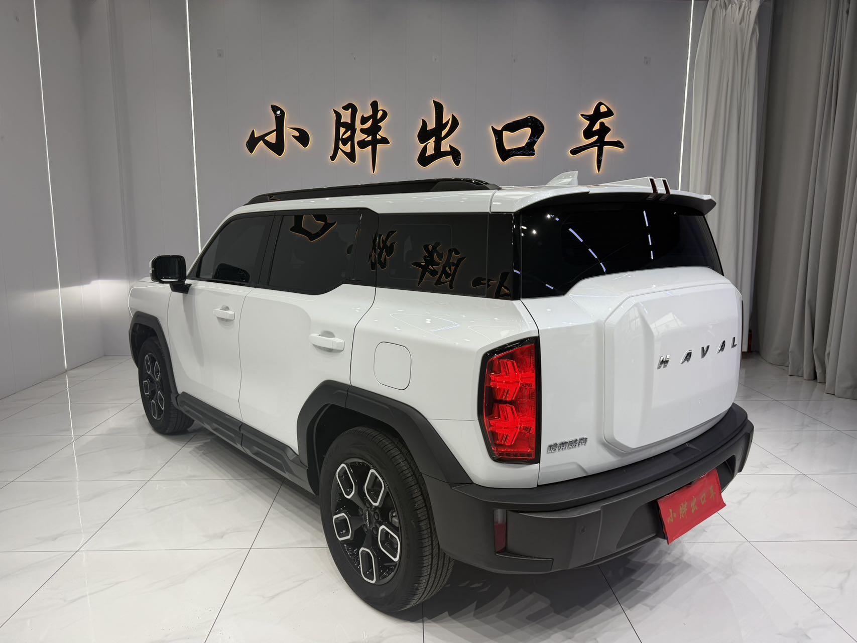 Haval Cool Dog 2022, фото 6