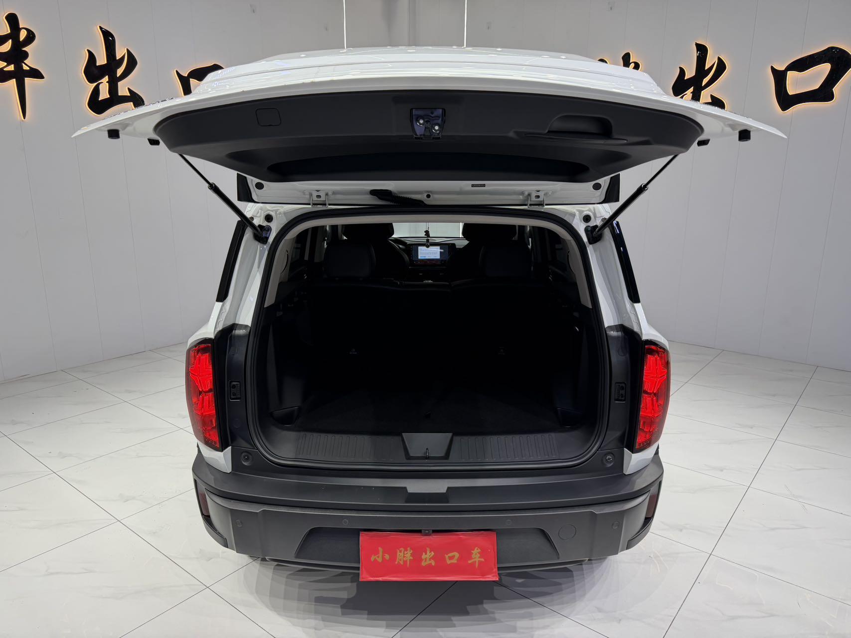 Haval Cool Dog 2022, фото 17