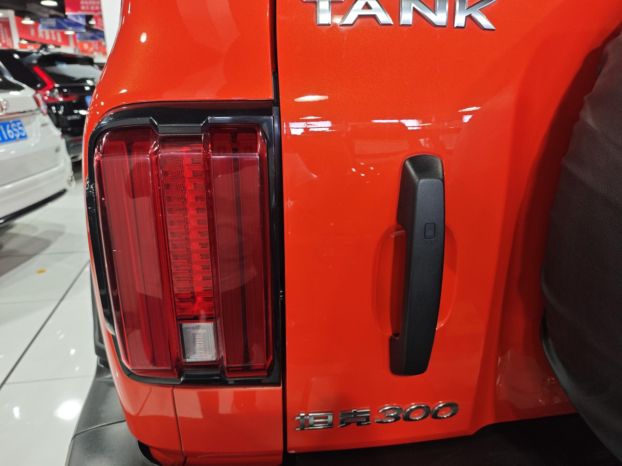 Tank 300 2023, фото 14