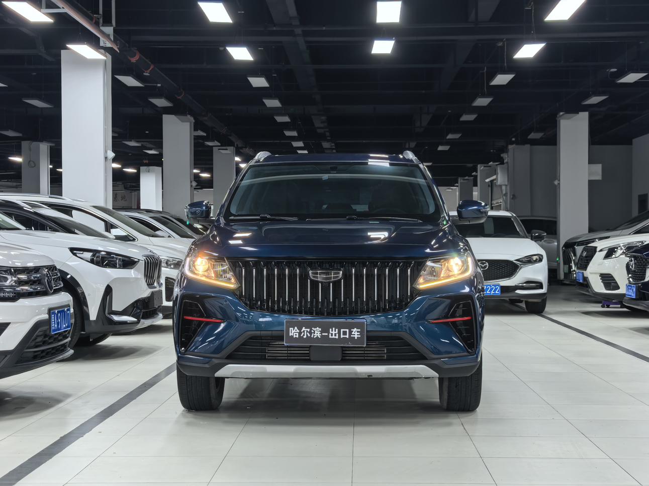Geely Emgrand X6 2021, фото 2
