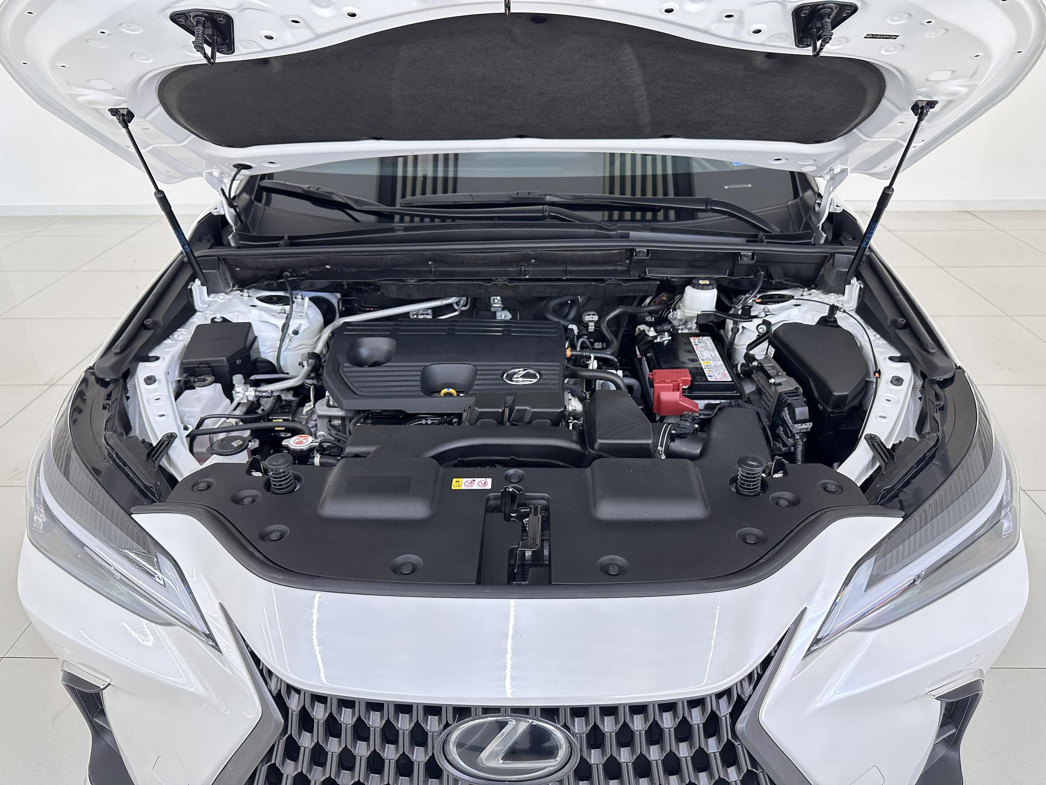 Lexus NX 2023, фото 17