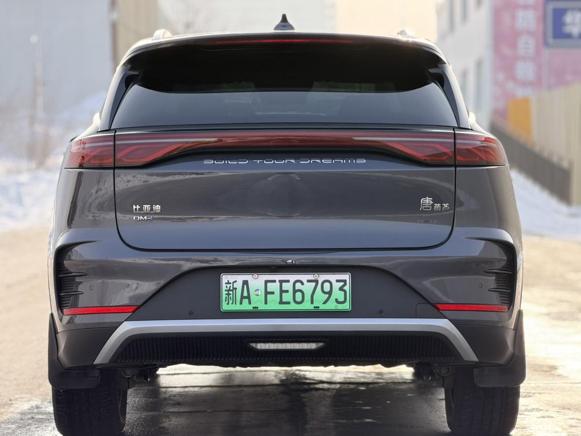BYD Tang 2024, фото 7