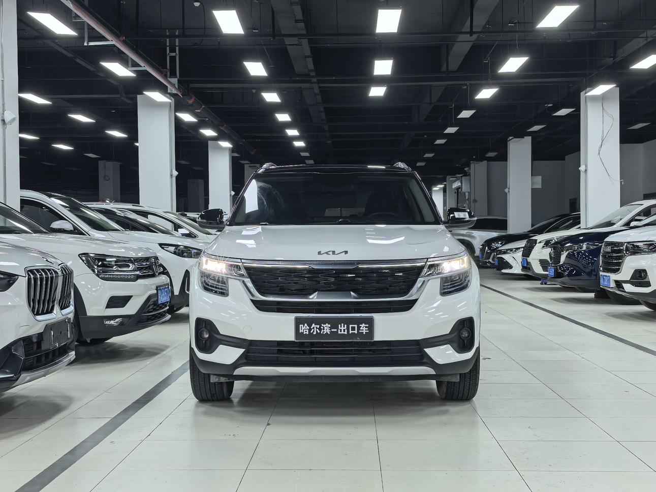Kia Seltos 2021, фото 2