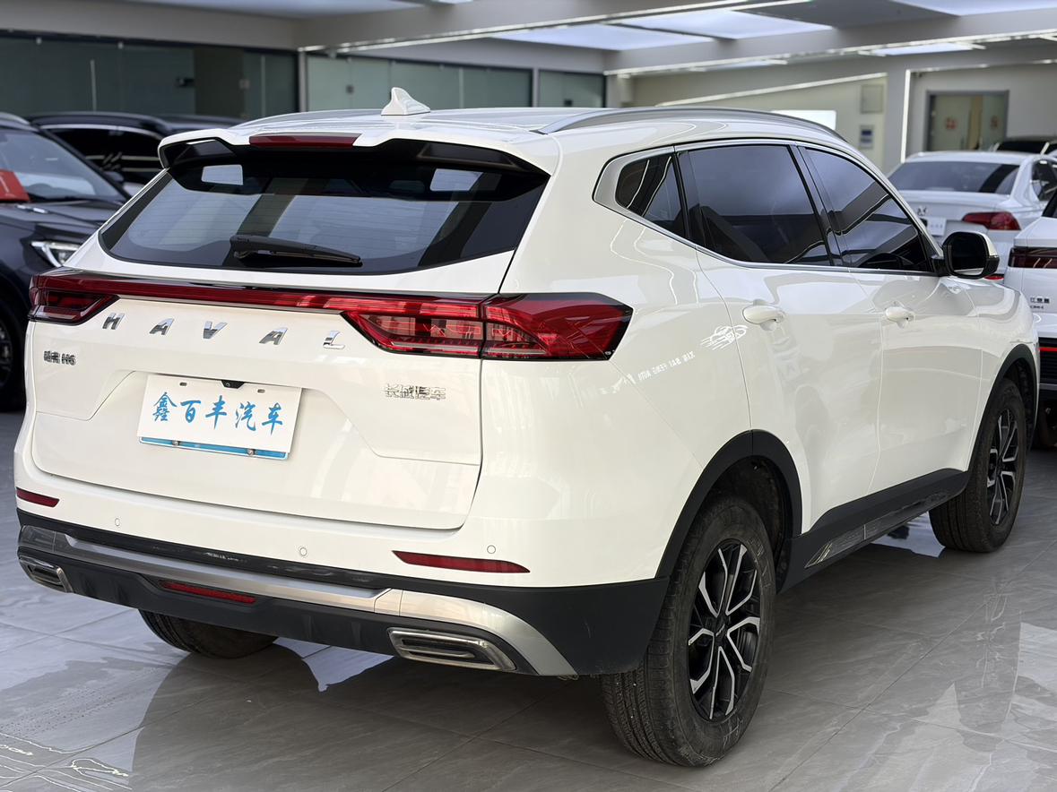 Haval H6 2021, фото 8