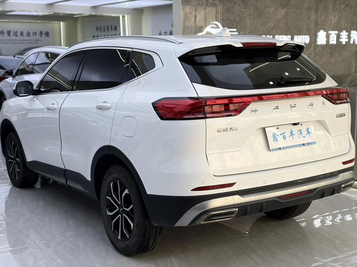 Haval H6 2021, фото 10
