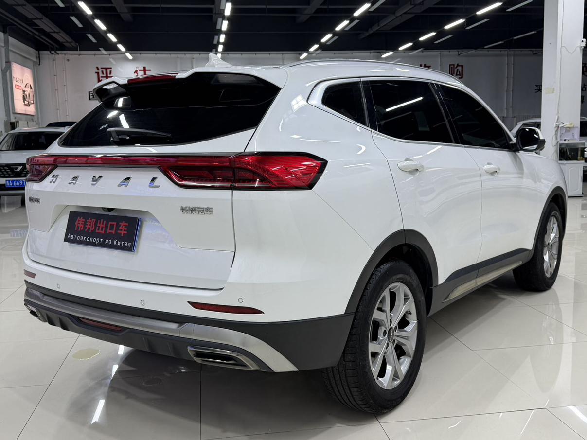 Haval H6 2021, фото 6