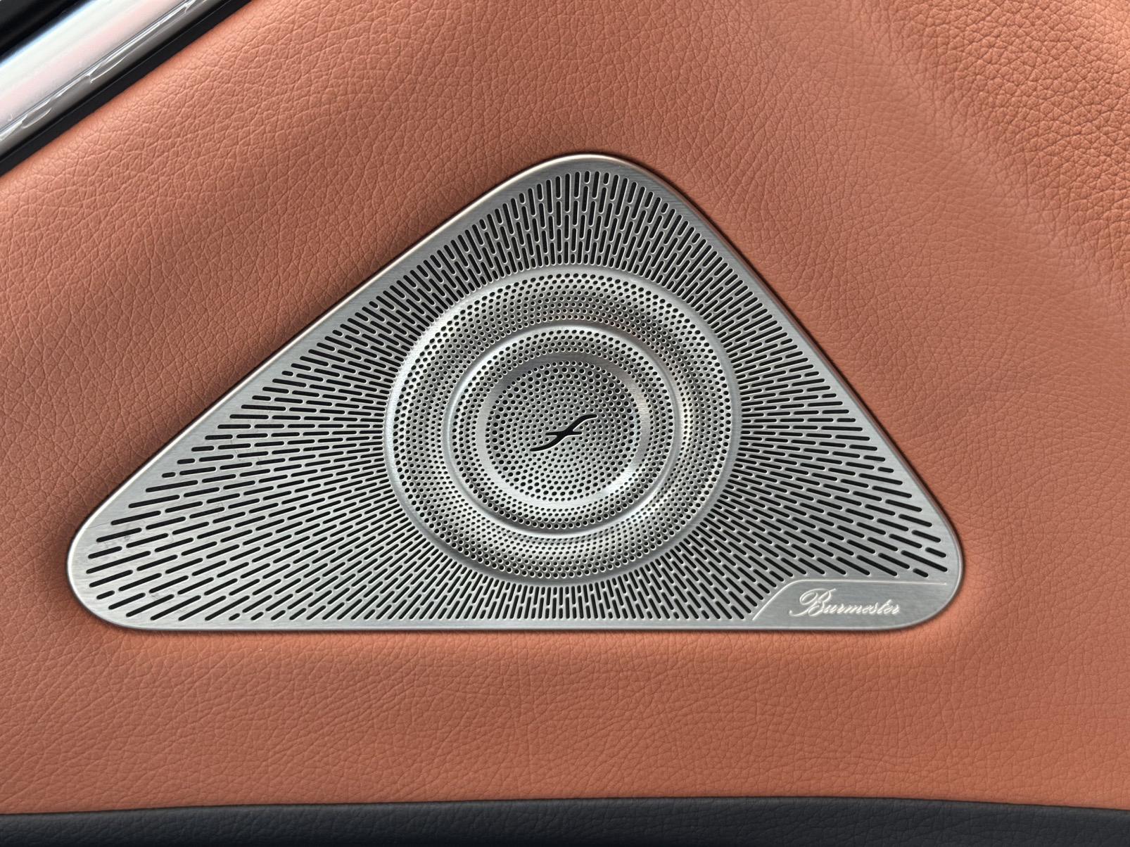 Mercedes-Benz S-Class 2021, фото 17