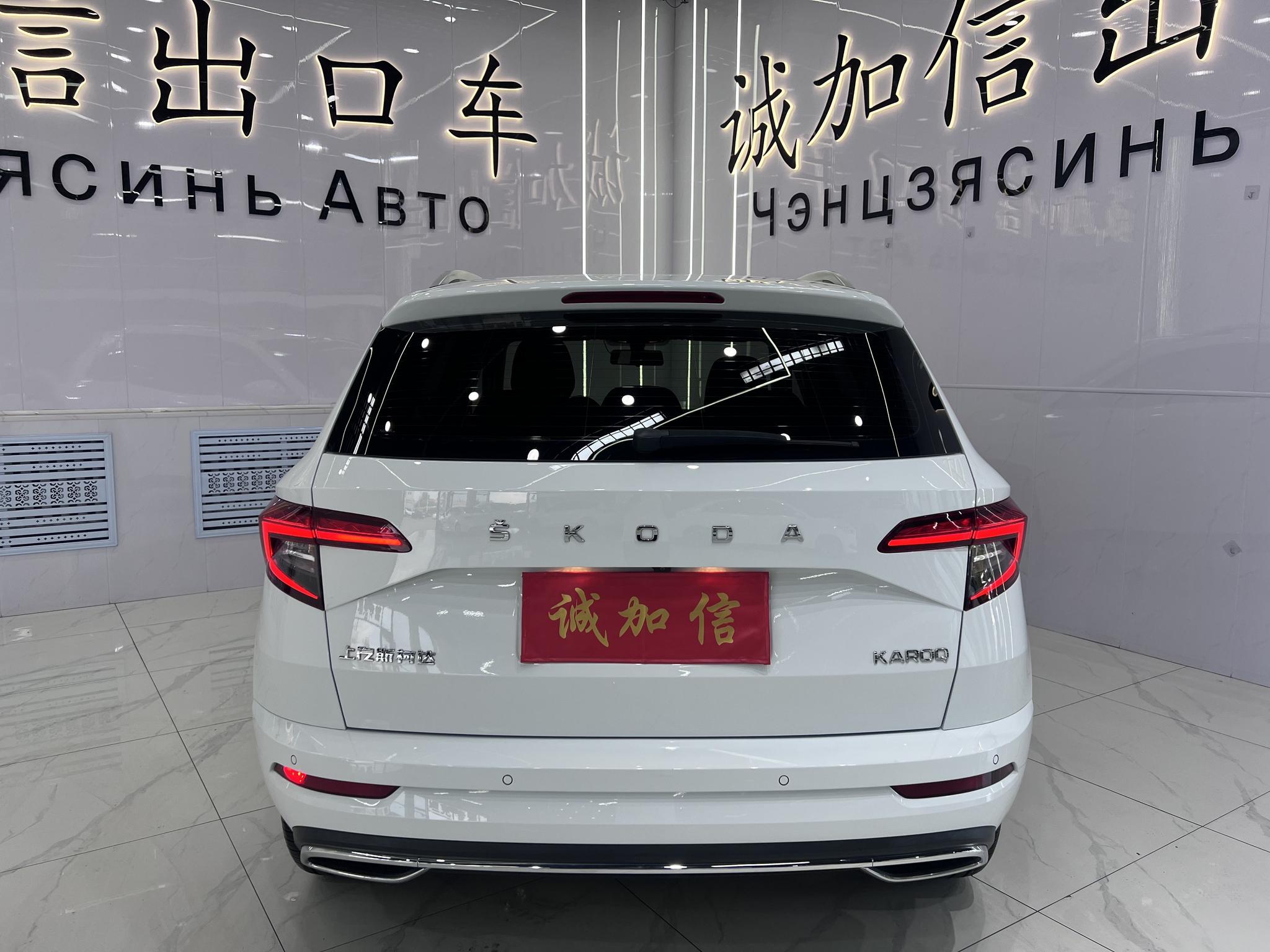 Skoda Karoq 2023, фото 5