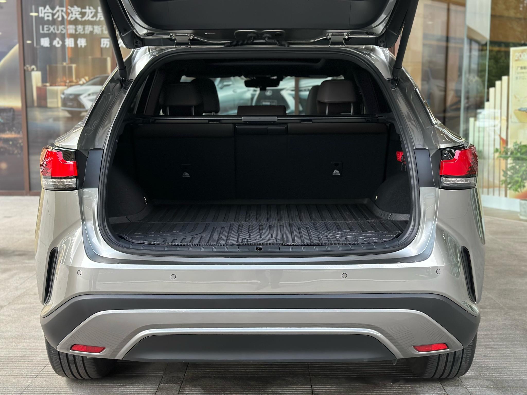 Lexus RX 2023, фото 9