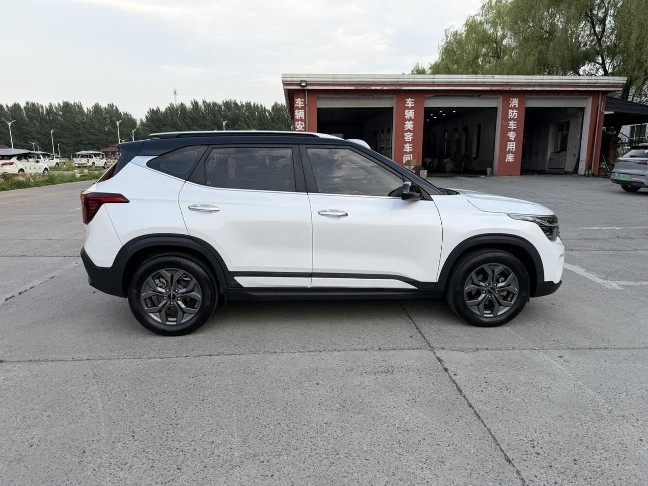 Kia Seltos 2023, фото 7